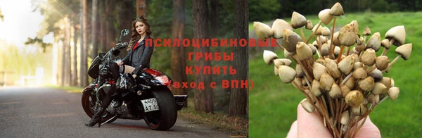 марихуана Абинск