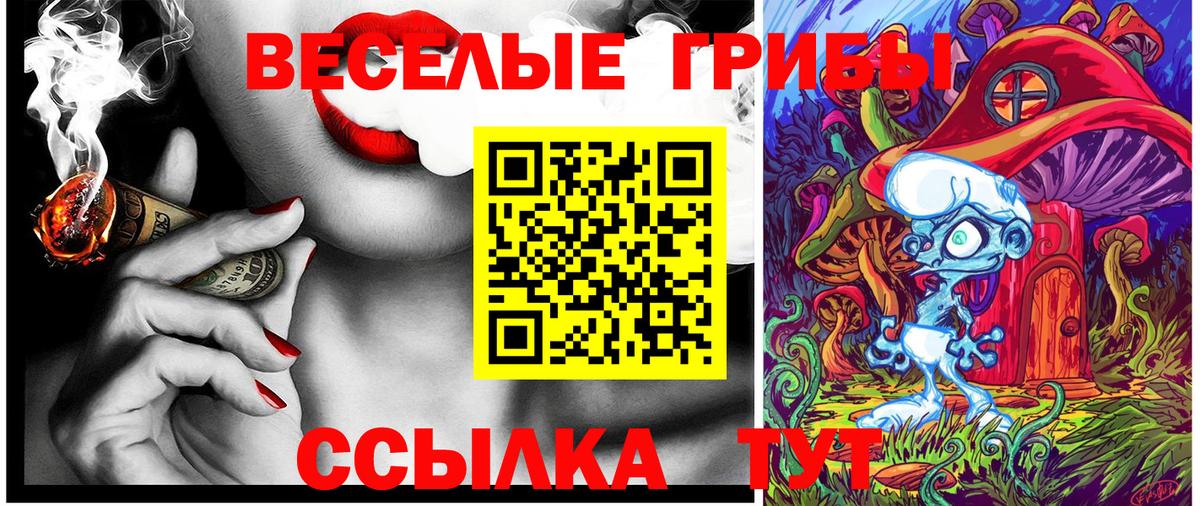 Галлюциногенные грибы Psilocybine cubensis  Вход с VPN  Рязань 